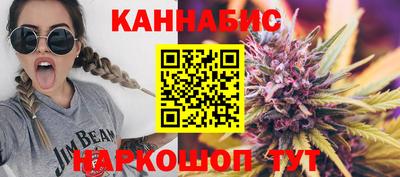 СК Бийск