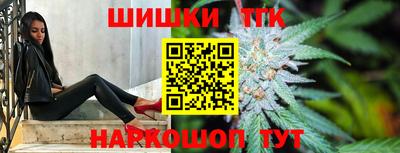 СК Бийск