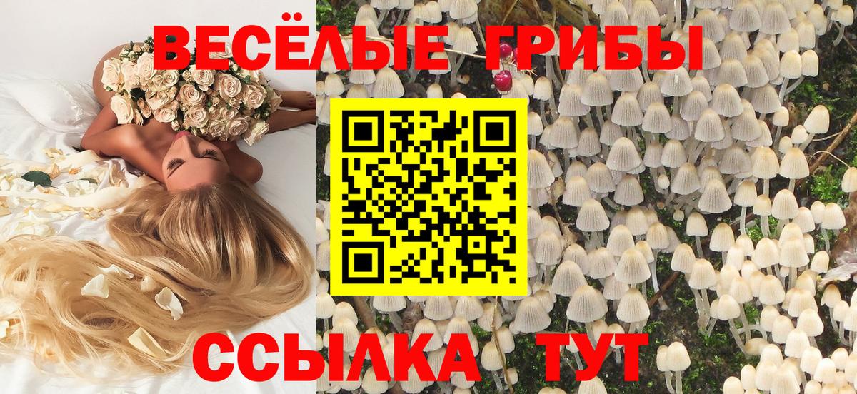 Псилоцибиновые грибы Psilocybine cubensis  Вход с VPN  Галлюциногенные грибы мухоморы  Ишимбай 